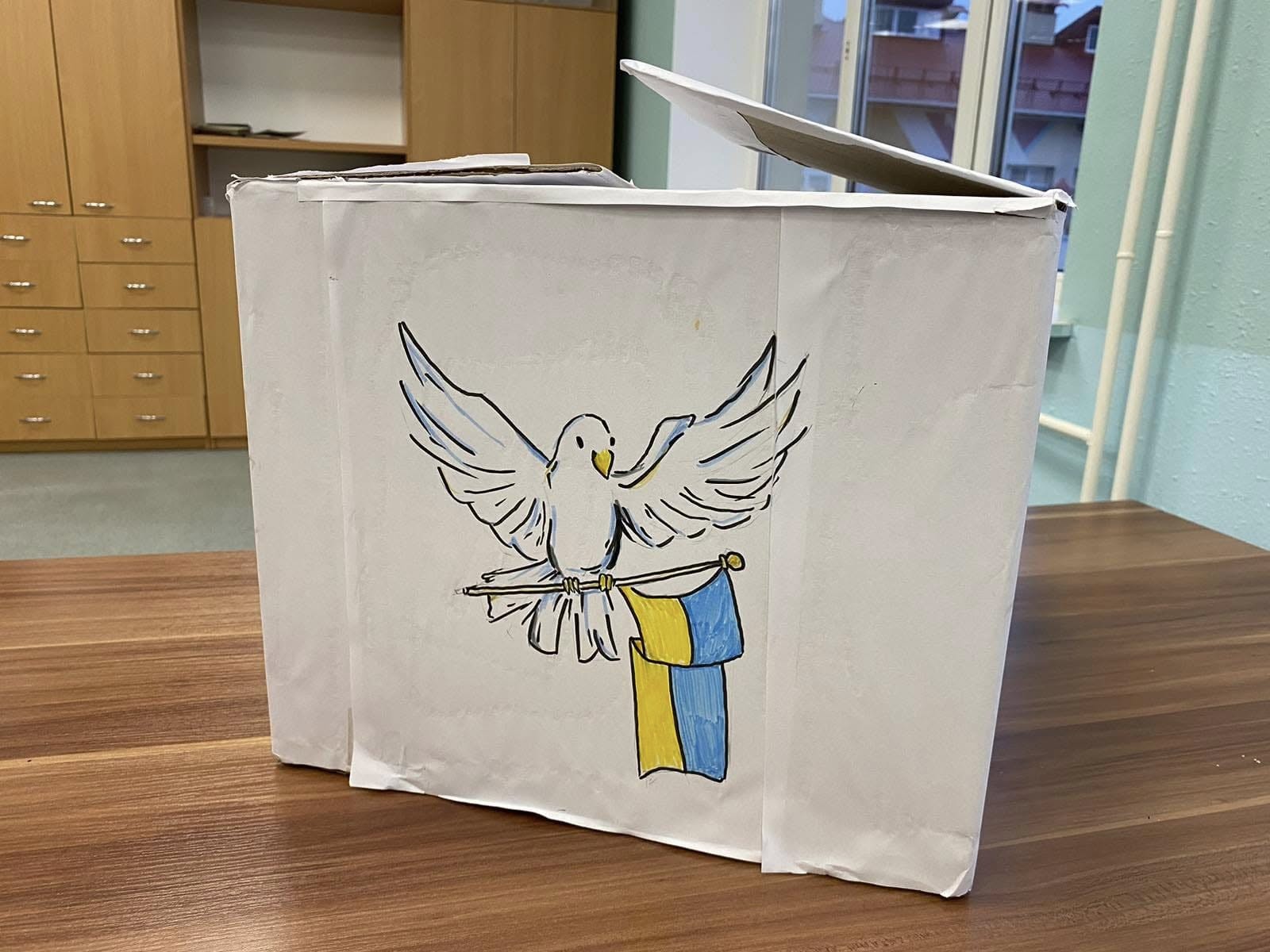 КОРОБКИ ТЕПЛА ВІД ЛІЦЕЇСТІВ